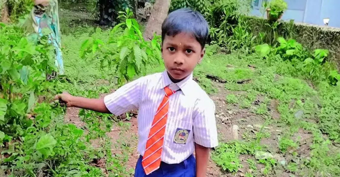 Kannur में आवारा कुत्ते के हमले से 5 वर्षीय तमिलनाडु के बच्चे की रेबीज से मौत Kannur में आवारा कुत्ते के हमले से 5 वर्षीय तमिलनाडु के बच्चे की रेबीज से मौत