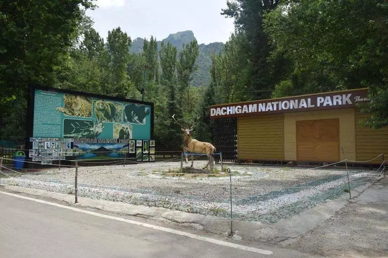 J&K का दाचीगाम राष्ट्रीय उद्यान संरक्षित क्षेत्र रेटिंग में देश में शीर्ष पर J&K का दाचीगाम राष्ट्रीय उद्यान संरक्षित क्षेत्र रेटिंग में देश में शीर्ष पर