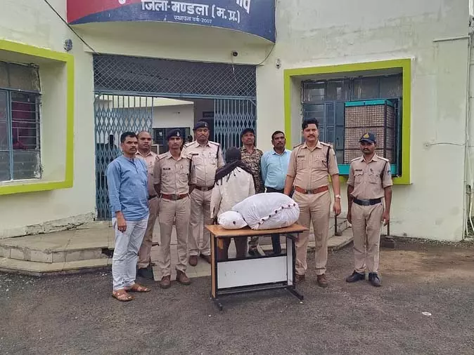 Mandla : गांजे की बड़ी खेप के साथ युवक गिरफ्तार, 17 किलो माल बरामद Mandla : गांजे की बड़ी खेप के साथ युवक गिरफ्तार, 17 किलो माल बरामद