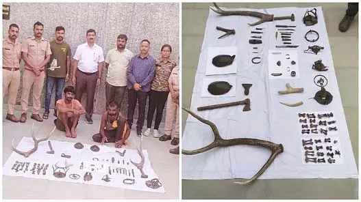 Kota : वन्यजीव तस्करी का बड़ा खुलासा, दो शिकारी गिरफ्तार Kota : वन्यजीव तस्करी का बड़ा खुलासा, दो शिकारी गिरफ्तार