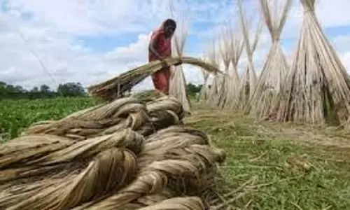 भारत ने स्थल मार्ग से बांग्लादेशी जूट आयात पर प्रतिबंध लगाया भारत ने स्थल मार्ग से बांग्लादेशी जूट आयात पर प्रतिबंध लगाया