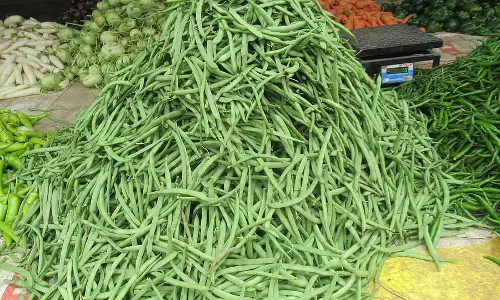 Tumkur : सब्जियों की कीमतों में गिरावट Tumkur : सब्जियों की कीमतों में गिरावट