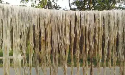 अनुचित व्यापार प्रथाओं के चलते भारत ने बांग्लादेशी जूट आयात पर लगाया प्रतिबंध: अधिकारी