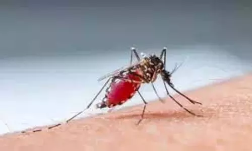 Andhra में मलेरिया का प्रकोप, अधिकारियों ने कार्रवाई तेज की