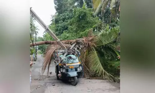 Kerala : ऑटोरिक्शा के सामने एक बिजली का खंभा गिर गया