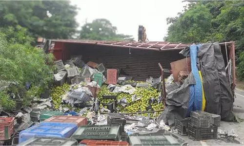 Deoria : सड़क हादसे में घायल हुआ DCM चालक, आम गिरने से आवागमन ठहरा