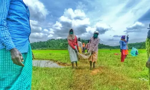 Kerala : रोजगार के मामले में वायनाड पहले स्थान पर Kerala : रोजगार के मामले में वायनाड पहले स्थान पर