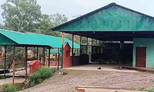 असंतोष की चिंगारी, नूरपुर संयंत्र बंद पड़ा, स्थानीय लोगों ने सरकार की उदासीनता की निंदा की असंतोष की चिंगारी, नूरपुर संयंत्र बंद पड़ा, स्थानीय लोगों ने सरकार की उदासीनता की निंदा की