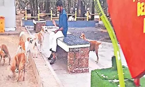 Kerala : सरकारी उदासीनता के कारण होसदुर्ग काइट बीच पार्क बंद Kerala : सरकारी उदासीनता के कारण होसदुर्ग काइट बीच पार्क बंद