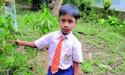 Kannur में आवारा कुत्ते के हमले से 5 वर्षीय तमिलनाडु के बच्चे की रेबीज से मौत Kannur में आवारा कुत्ते के हमले से 5 वर्षीय तमिलनाडु के बच्चे की रेबीज से मौत