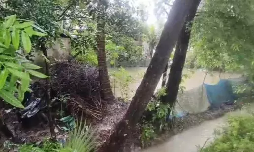Bengal: दक्षिण 24 परगना में बाइक फिसलकर नाले में गिरी, तीन युवकों की मौत Bengal: दक्षिण 24 परगना में बाइक फिसलकर नाले में गिरी, तीन युवकों की मौत