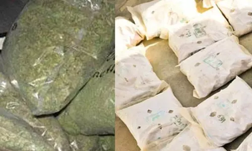 Dharamshala: ज्वाली में वाहन चेकिंग के दौरान अफीम बरामद Dharamshala: ज्वाली में वाहन चेकिंग के दौरान अफीम बरामद
