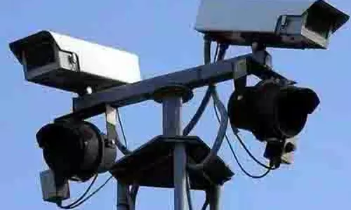 चेन्नई नगर निगम पशु केंद्रों में दुर्व्यवहार रोकने के लिए CCTV कैमरे लगाएगा