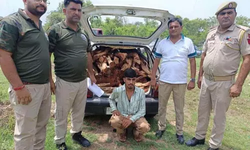 Jammu: पुलिस-वन अधिकारियों ने खैर की लकड़ी की तस्करी का प्रयास विफल किया