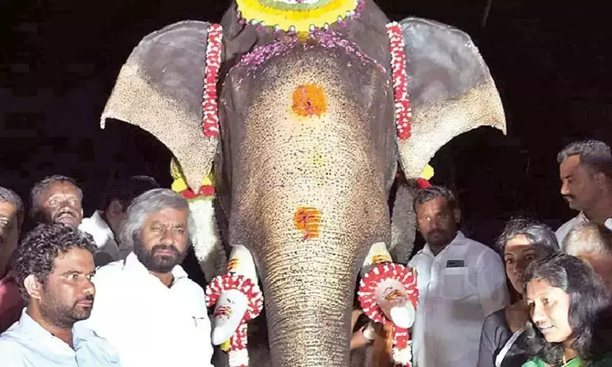 Karnataka: मंत्री ने दशहरा जंबो कैप्टन अर्जुन के लिए स्मारक का उद्घाटन किया
