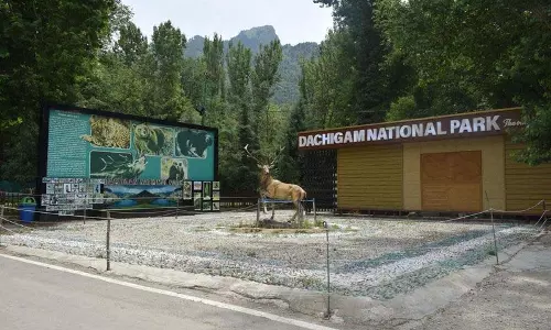 J&K का दाचीगाम राष्ट्रीय उद्यान संरक्षित क्षेत्र रेटिंग में देश में शीर्ष पर J&K का दाचीगाम राष्ट्रीय उद्यान संरक्षित क्षेत्र रेटिंग में देश में शीर्ष पर