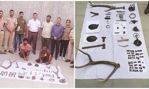 Kota : वन्यजीव तस्करी का बड़ा खुलासा, दो शिकारी गिरफ्तार Kota : वन्यजीव तस्करी का बड़ा खुलासा, दो शिकारी गिरफ्तार