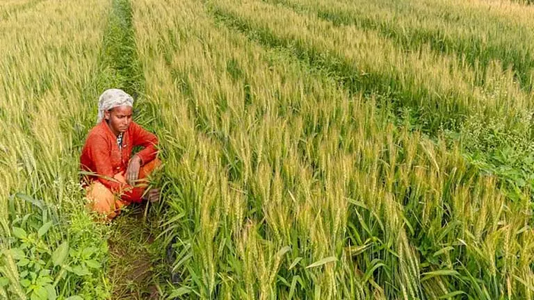 Odisha सरकार ने कृषि योग्य भूमि का पुनर्गठन किया: 3.02 लाख हेक्टेयर से अधिक क्षेत्र में खरीफ की खेती Odisha सरकार ने कृषि योग्य भूमि का पुनर्गठन किया: 3.02 लाख हेक्टेयर से अधिक क्षेत्र में खरीफ की खेती