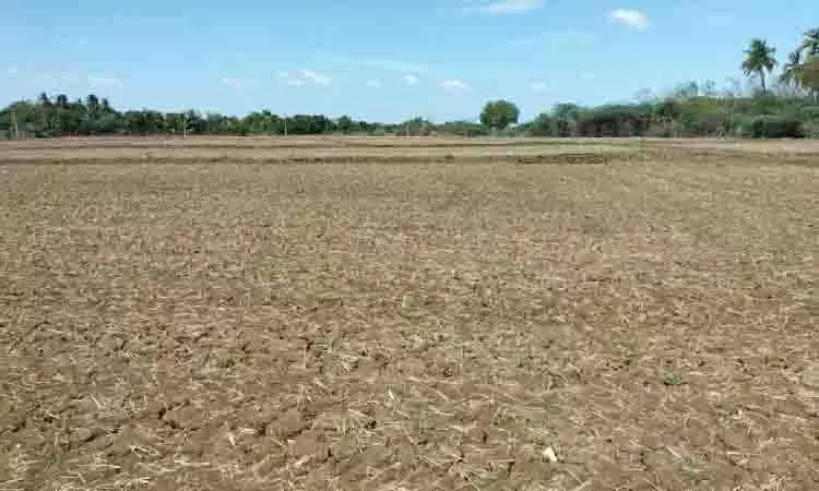 Tamil Nadu के असहाय किसान कर्जदारों के शिकार बनने को मजबूर Tamil Nadu के असहाय किसान कर्जदारों के शिकार बनने को मजबूर