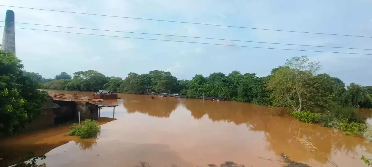 नदी का जलस्तर बढ़ने से मयूरभंज, बालासोर प्रभावित, राहत कार्य जारी नदी का जलस्तर बढ़ने से मयूरभंज, बालासोर प्रभावित, राहत कार्य जारी