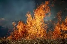 Punjab: औद्योगिक क्षेत्र में भीषण आग, 9 महीने की बच्ची की मौत, 2 घायल Punjab: औद्योगिक क्षेत्र में भीषण आग, 9 महीने की बच्ची की मौत, 2 घायल