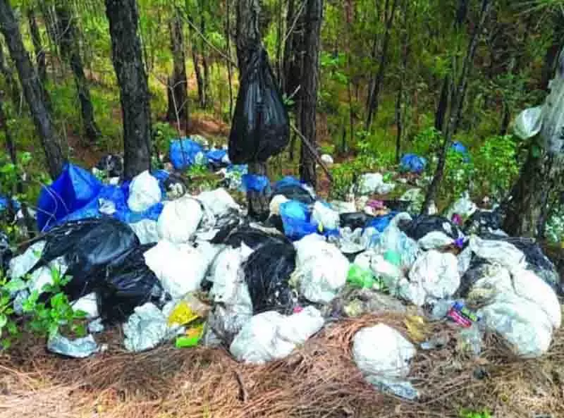 Mandi के जंगल में फेंके गए प्लास्टिक कचरे से आक्रोश Mandi के जंगल में फेंके गए प्लास्टिक कचरे से आक्रोश