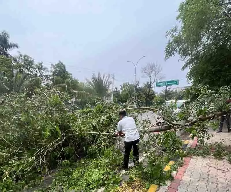 Chandigarh, पंजाब और हरियाणा के कुछ हिस्सों में बारिश Chandigarh, पंजाब और हरियाणा के कुछ हिस्सों में बारिश
