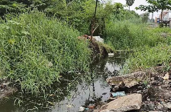 राष्ट्रीय राजमार्ग, नयनजुली और जल निकासी व्यवस्था भी अवरुद्ध राष्ट्रीय राजमार्ग, नयनजुली और जल निकासी व्यवस्था भी अवरुद्ध