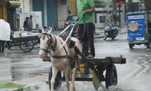 Haryana : बारिश से राहत, हरियाणा में तापमान में गिरावट Haryana : बारिश से राहत, हरियाणा में तापमान में गिरावट