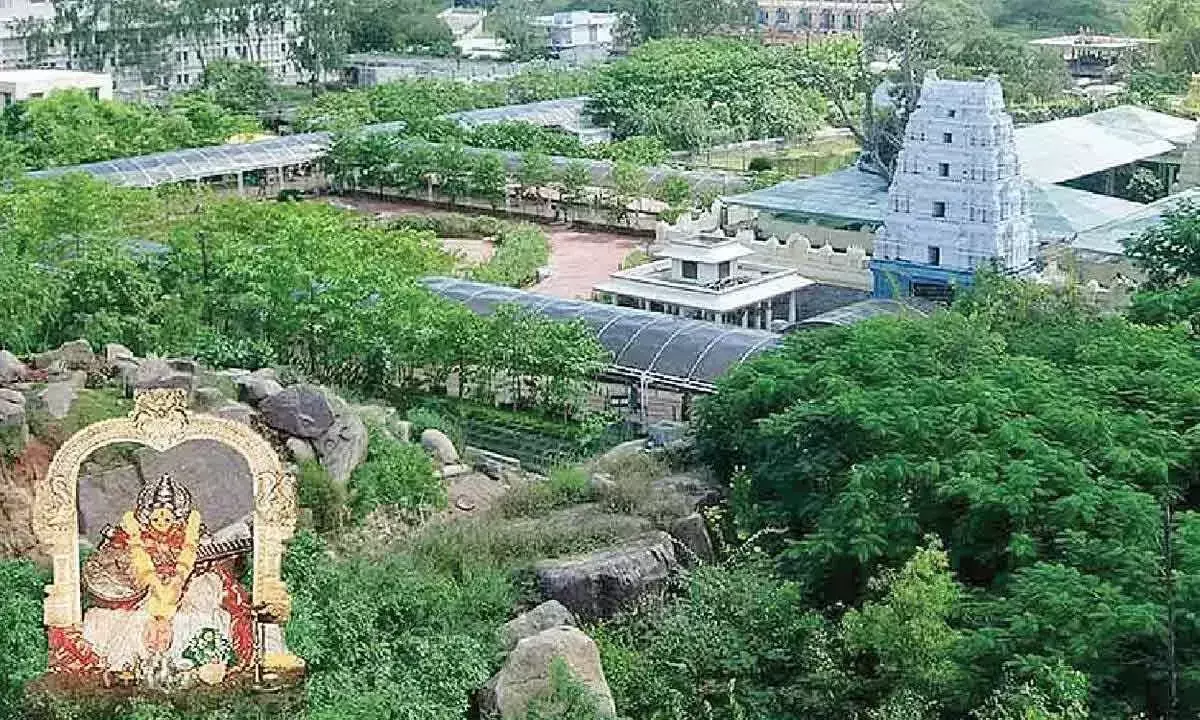 Telangana: बसारा मंदिर विकास कुप्रबंधन की चपेट में Telangana: बसारा मंदिर विकास कुप्रबंधन की चपेट में
