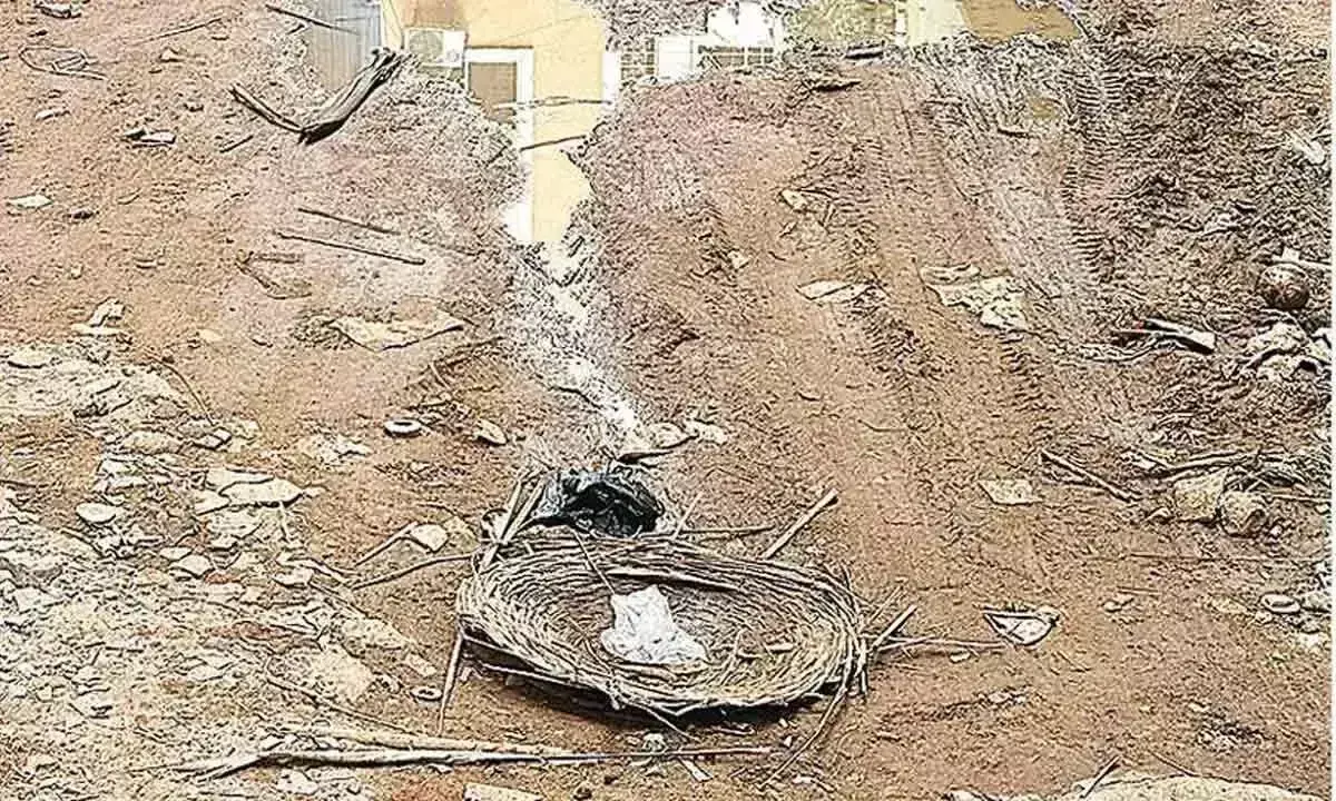 Telangana: टोलीचौकी के निवासी खोदी गई सड़कों को लेकर असमंजस में Telangana: टोलीचौकी के निवासी खोदी गई सड़कों को लेकर असमंजस में