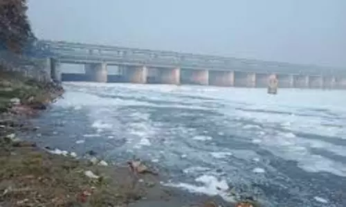 मथुरा यात्रा के बाद दिल्ली में यमुना प्रदूषण रोकने के लिए दो बायोगैस संयंत्र जल्द शुरू