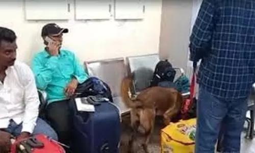 एयरपोर्ट पर बम की धमकी, राष्ट्रपति के आगमन से पहले मचा हड़कंप एयरपोर्ट पर बम की धमकी, राष्ट्रपति के आगमन से पहले मचा हड़कंप