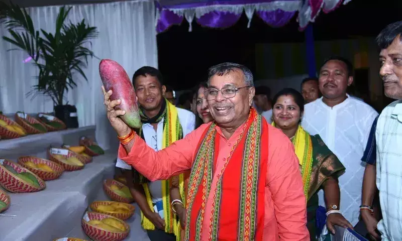 Tripura में किसानों की आय बढ़ाने के लिए आम की खेती बढ़ाई जाएगी: मंत्री Tripura में किसानों की आय बढ़ाने के लिए आम की खेती बढ़ाई जाएगी: मंत्री