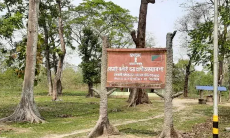 Assam में वन ग्राम विवाद: कार्यकर्ता ने राष्ट्रपति से बीटीसी में विलय पर दखल की मांग की