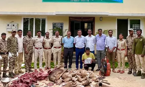 हिरण शिकार गिरोह का भंडाफोड़: 74 किलो हिरण का मांस, खाल जब्त हिरण शिकार गिरोह का भंडाफोड़: 74 किलो हिरण का मांस, खाल जब्त