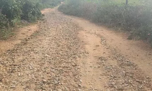 खराब ग्रामीण सड़क: यातायात अव्यवस्था
