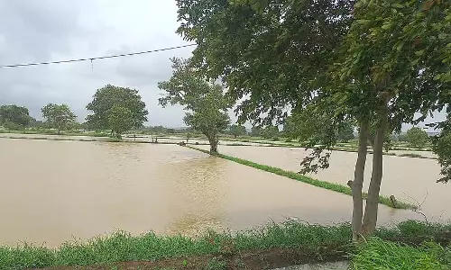 Karnataka : बेलगाम धान के लिए एकमात्र चिंता बेल्लारी नहर Karnataka : बेलगाम धान के लिए एकमात्र चिंता बेल्लारी नहर
