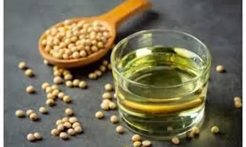 Health: धनिया का पानी पीने से दूर होंगी कई स्वास्थ्य समस्याएं, जानें कब और कैसे करें इस मसाले का इस्तेमाल Health: धनिया का पानी पीने से दूर होंगी कई स्वास्थ्य समस्याएं, जानें कब और कैसे करें इस मसाले का इस्तेमाल