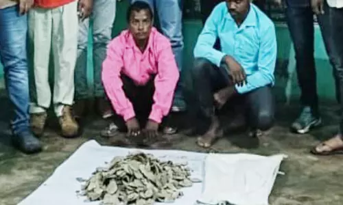 करोड़ों रुपए की पैंगोलिन की स्केल बरामद, दो तस्कर गिरफ्तार करोड़ों रुपए की पैंगोलिन की स्केल बरामद, दो तस्कर गिरफ्तार
