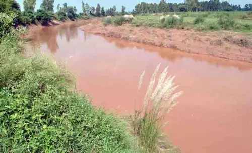 शोक की नदी Ghaggar, मालवा का अभिशाप और स्वास्थ्य के लिए खतरा