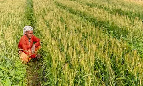 Odisha सरकार ने कृषि योग्य भूमि का पुनर्गठन किया: 3.02 लाख हेक्टेयर से अधिक क्षेत्र में खरीफ की खेती Odisha सरकार ने कृषि योग्य भूमि का पुनर्गठन किया: 3.02 लाख हेक्टेयर से अधिक क्षेत्र में खरीफ की खेती