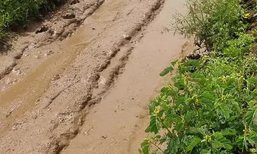 खेतों तक पहुंचने के लिए सड़कें नहीं: किसानों को बुवाई में हो रही परेशानी खेतों तक पहुंचने के लिए सड़कें नहीं: किसानों को बुवाई में हो रही परेशानी