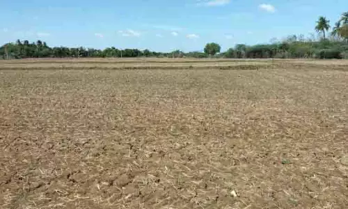 Tamil Nadu के असहाय किसान कर्जदारों के शिकार बनने को मजबूर Tamil Nadu के असहाय किसान कर्जदारों के शिकार बनने को मजबूर