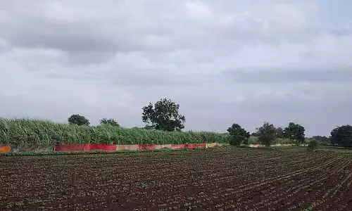 Bidar : फसलों की सुरक्षा के लिए साड़ी बाड़