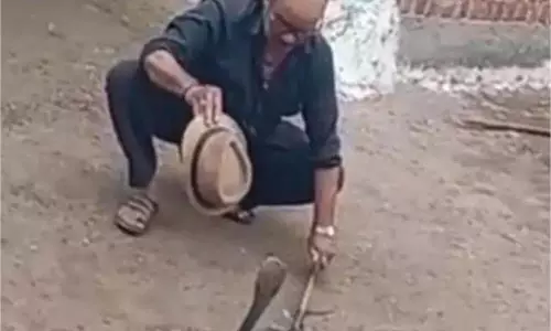 Sagar: घर में घुसा जहरीला कोबरा Sagar: घर में घुसा जहरीला कोबरा