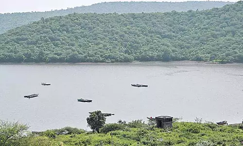 Andhra : मल्लेकोंडा वन क्षेत्र में दो लोग लापता Andhra : मल्लेकोंडा वन क्षेत्र में दो लोग लापता