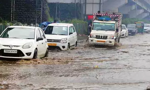 Jalandhar में तीसरे दिन भी बारिश से पेड़ उखड़ गए, यातायात बाधित