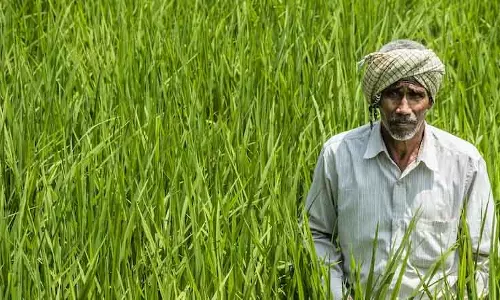 Jalore: प्रधानमंत्री फसल बीमा योजना में खरीफ-2025 शामिल, किसानों को मिलेगा लाभ Jalore: प्रधानमंत्री फसल बीमा योजना में खरीफ-2025 शामिल, किसानों को मिलेगा लाभ