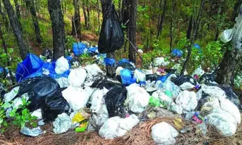 Mandi के जंगल में फेंके गए प्लास्टिक कचरे से आक्रोश